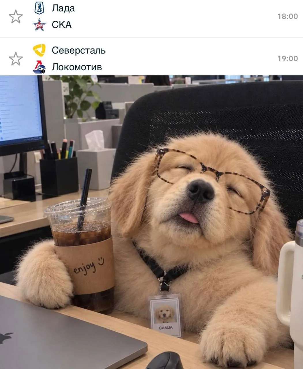 Вечером будем смотреть два матча — начнём в Тольятти, закончим в Череповце 👀