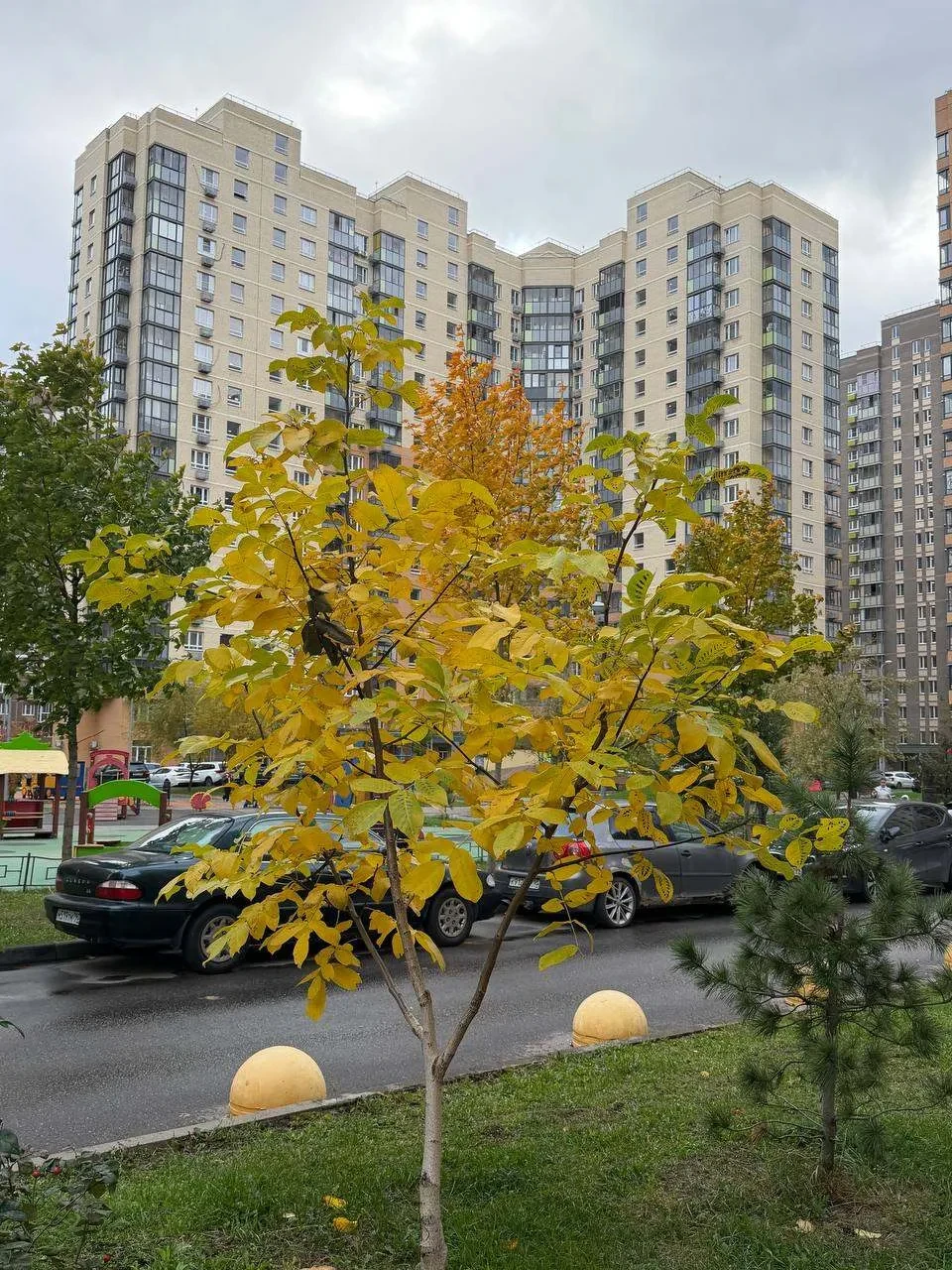 Неделя в Подмосковье начнется с аномального тепла и дождей, а завершится первыми заморо...