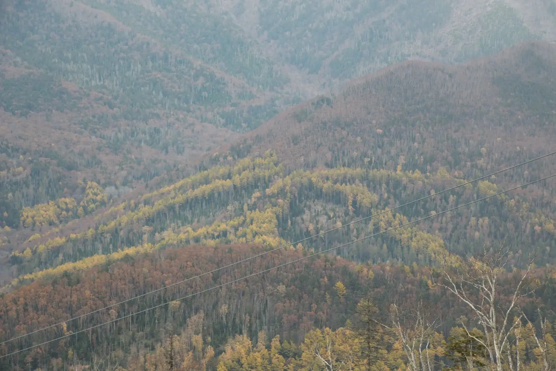 Настоящая золотая осень ждет вас на наших склонах⛰️