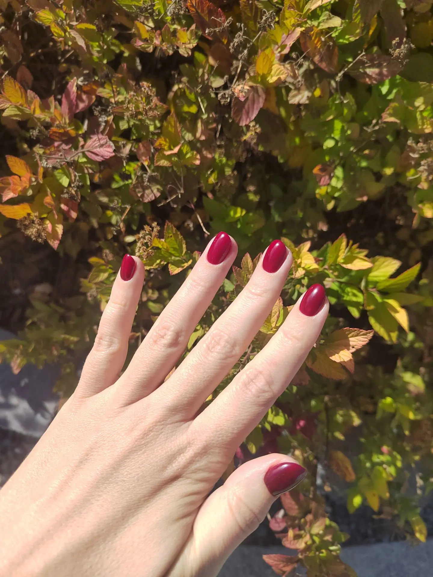 Сходила обновила маникюр 💅