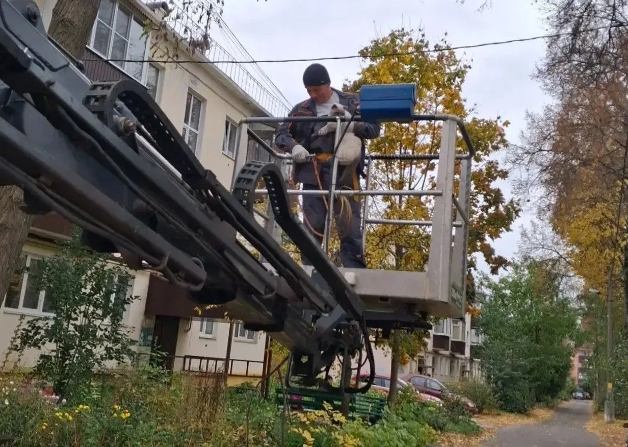 💪 Работники ГКС спасли кошку Марси в Железногорске