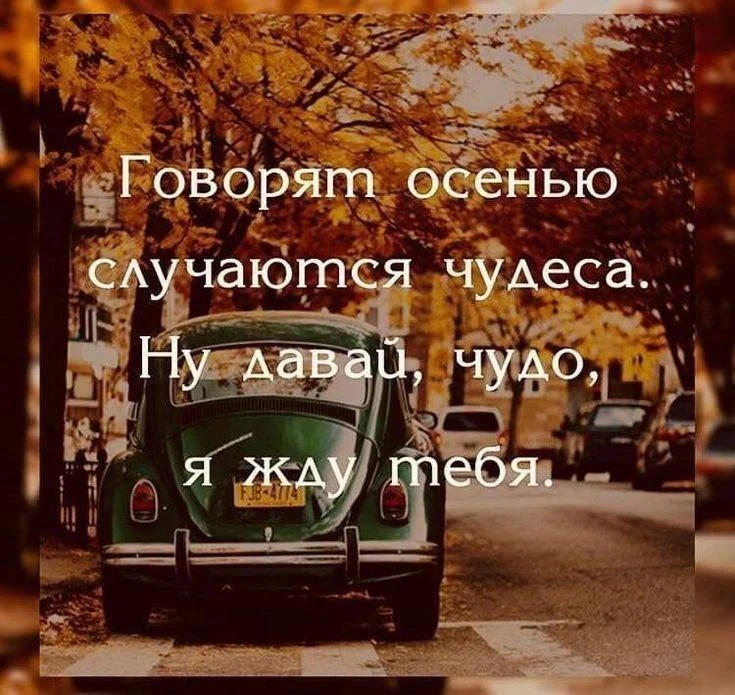 Красиво сказано?