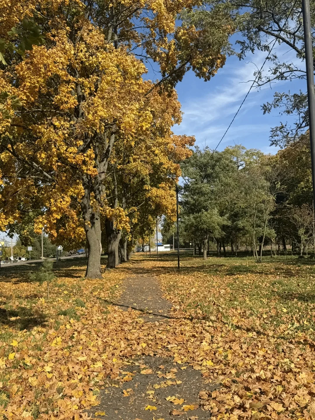 🍂Доброе утро! Сегодня в регионе будет облачно с прояснениями. Днем без осадков. Темпер...