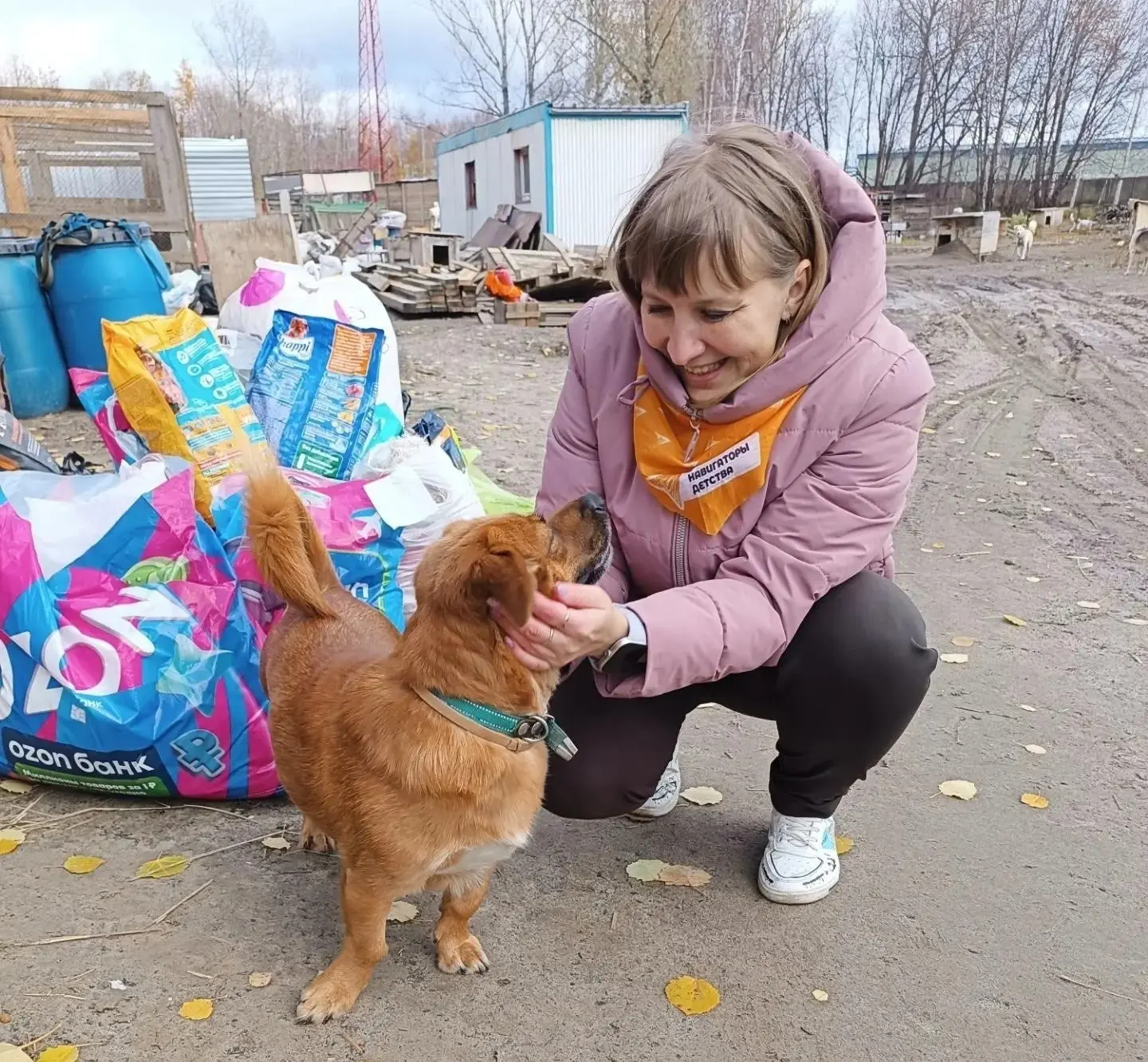 В Югре проходит зоозащитная акция «Погуляй-ка»