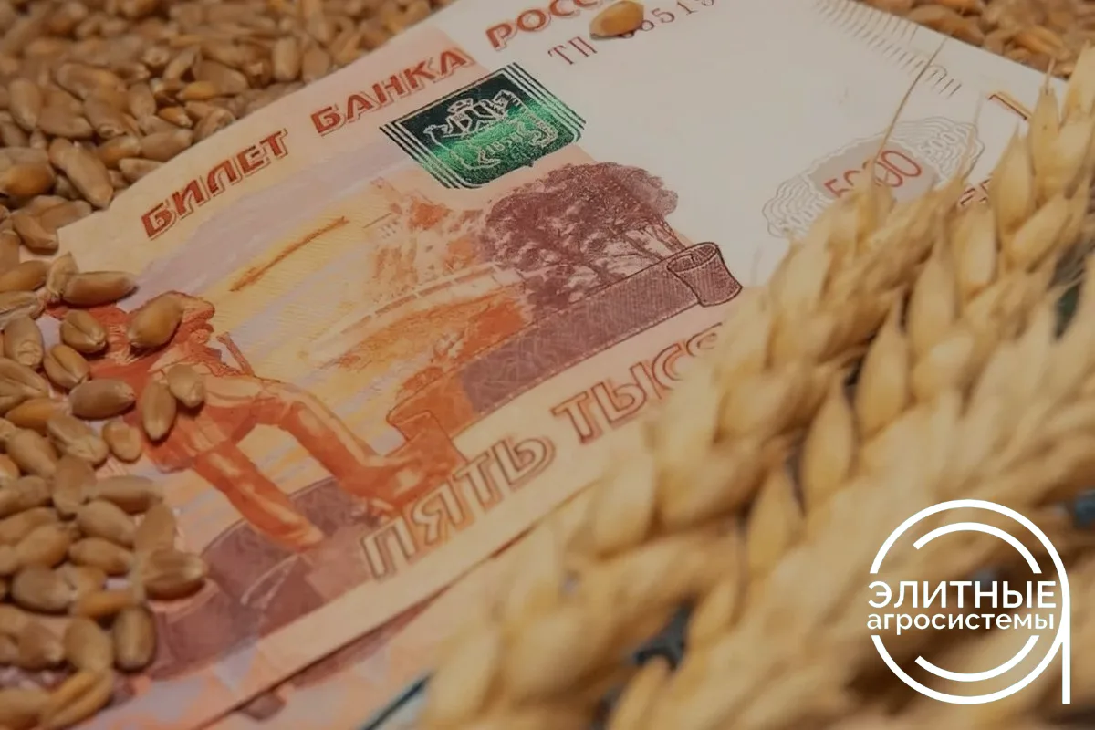 🌾 Зерно можно продать государству