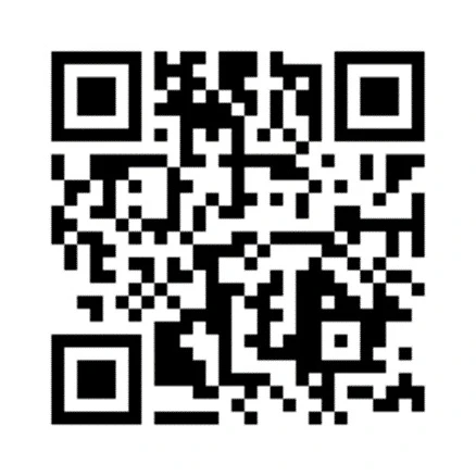 https://noko.iro.perm.ru/
