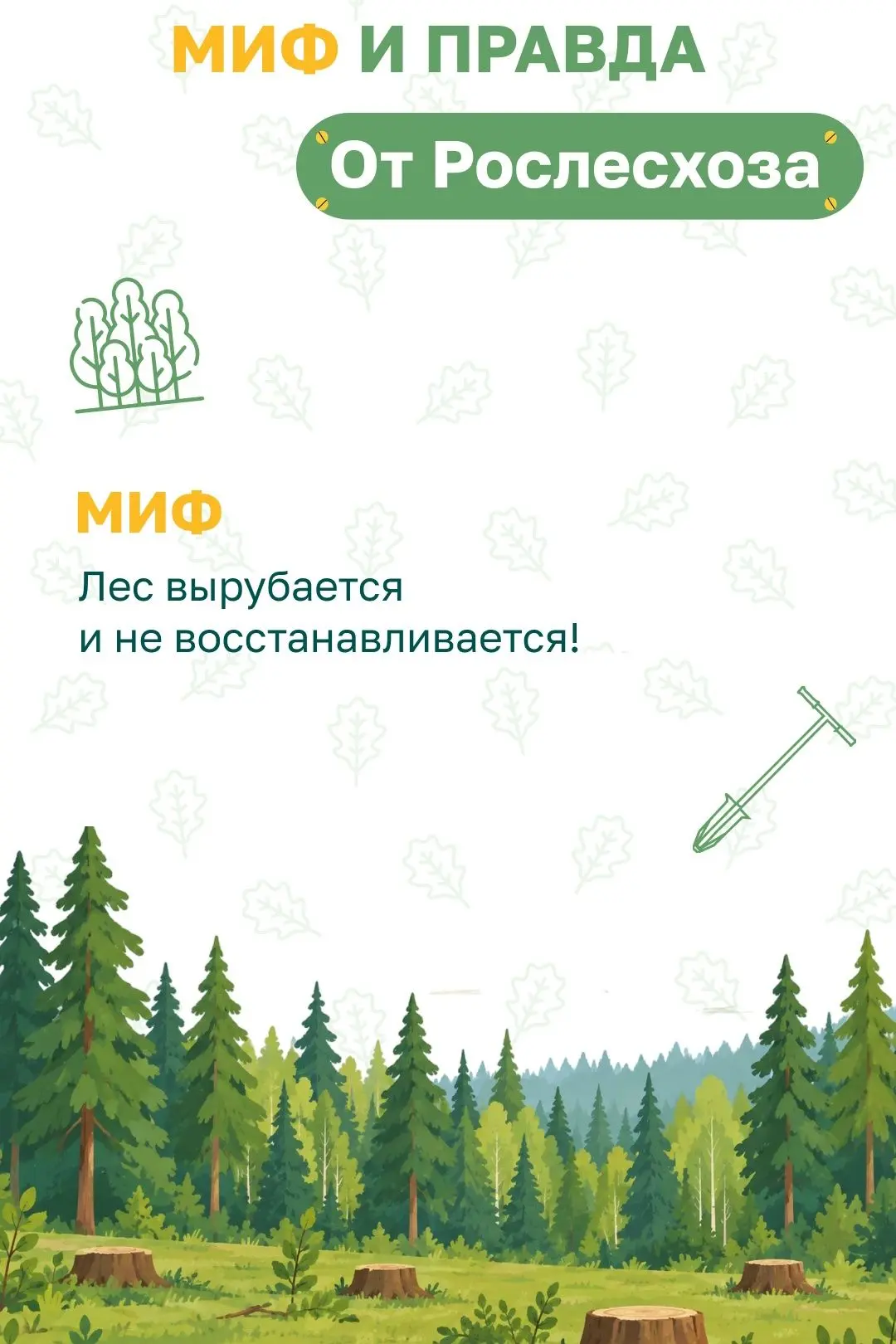 🌲 В действительности ли лес полностью вырубается и весь вывозится в Китай? Это один из...