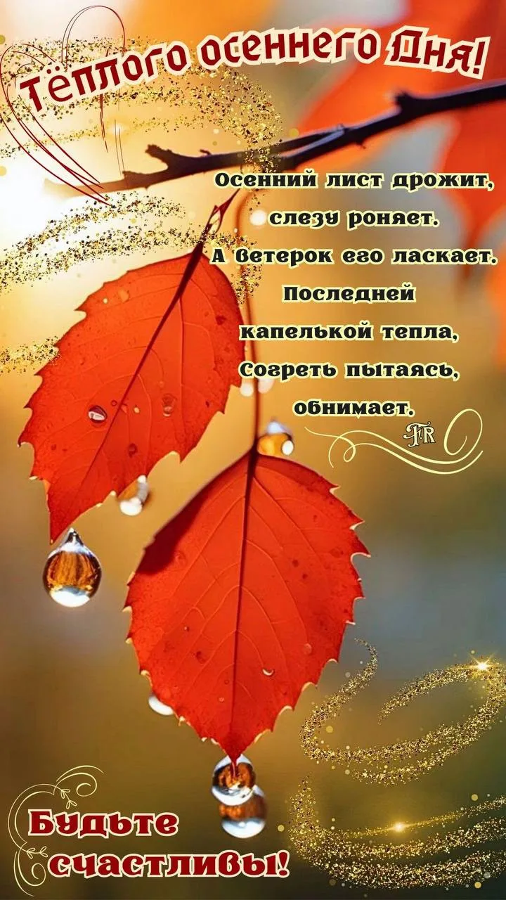 Женские открытки💝