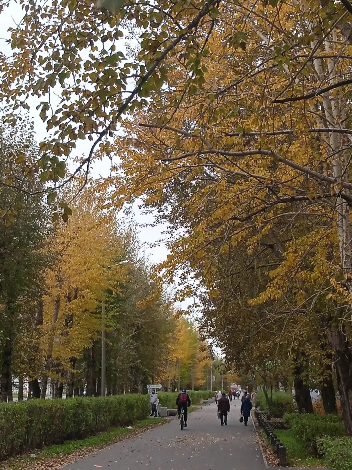 Доброе утро, Северодвинск 🍂🍁