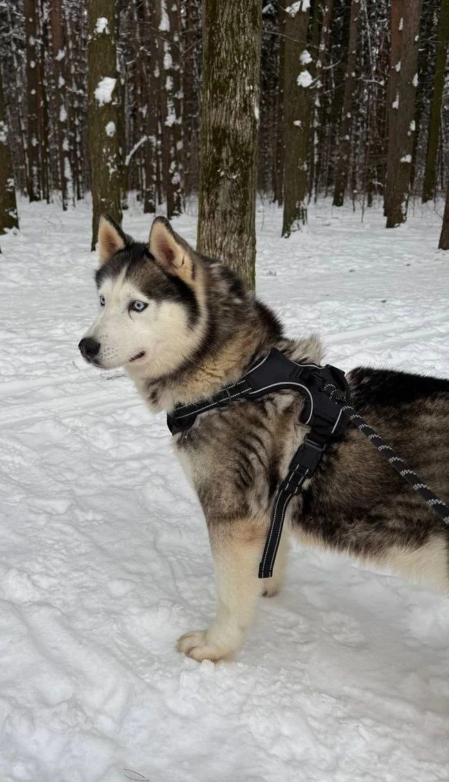 #Москва