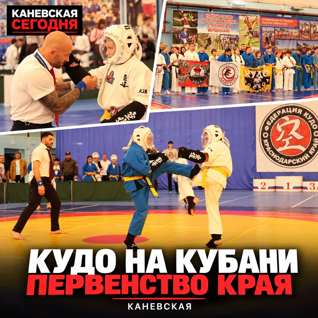 🥋 В Каневской проходит чемпионат и первенство Кубани по кудо