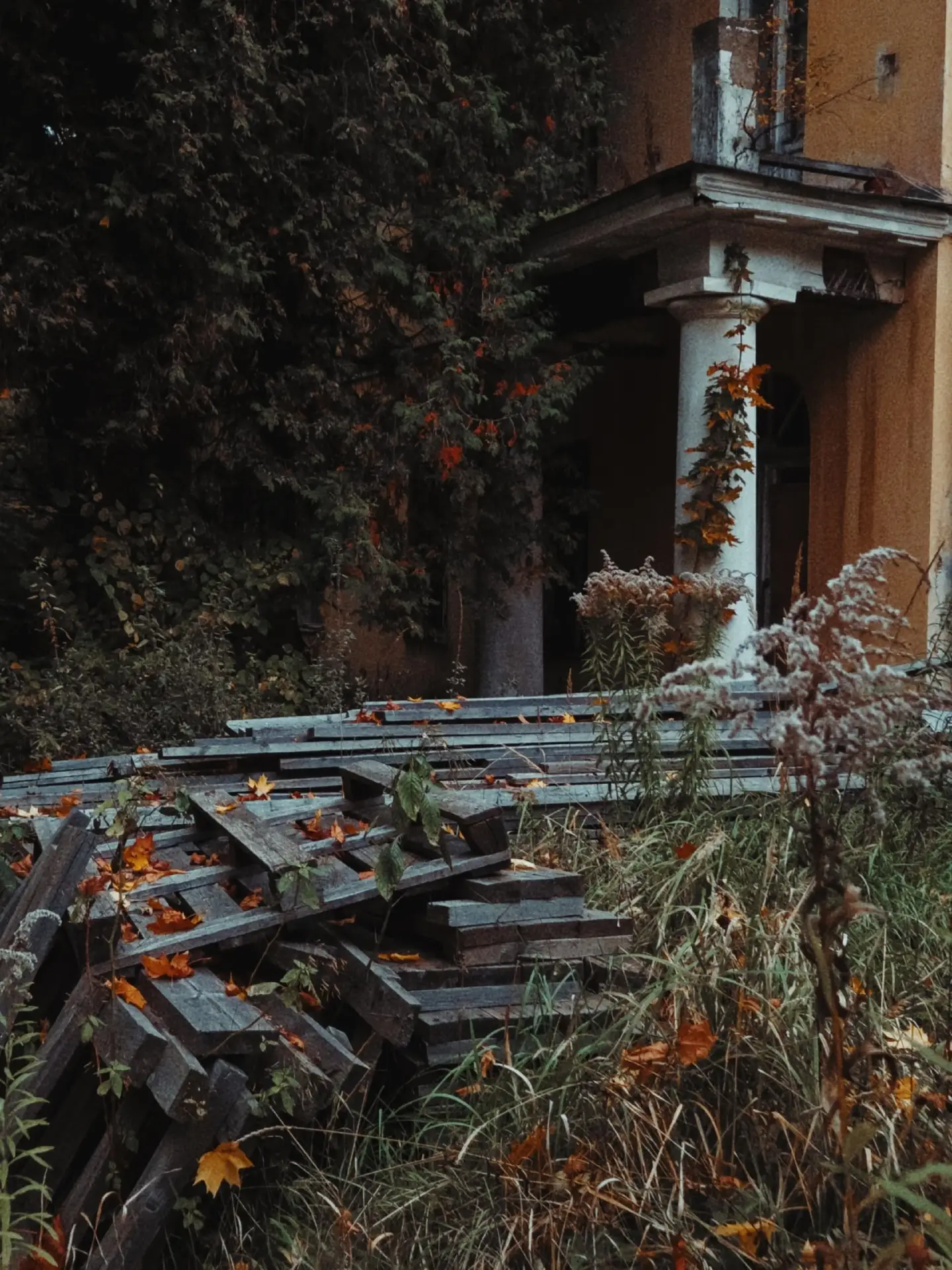 Усадьба Суханово🍂