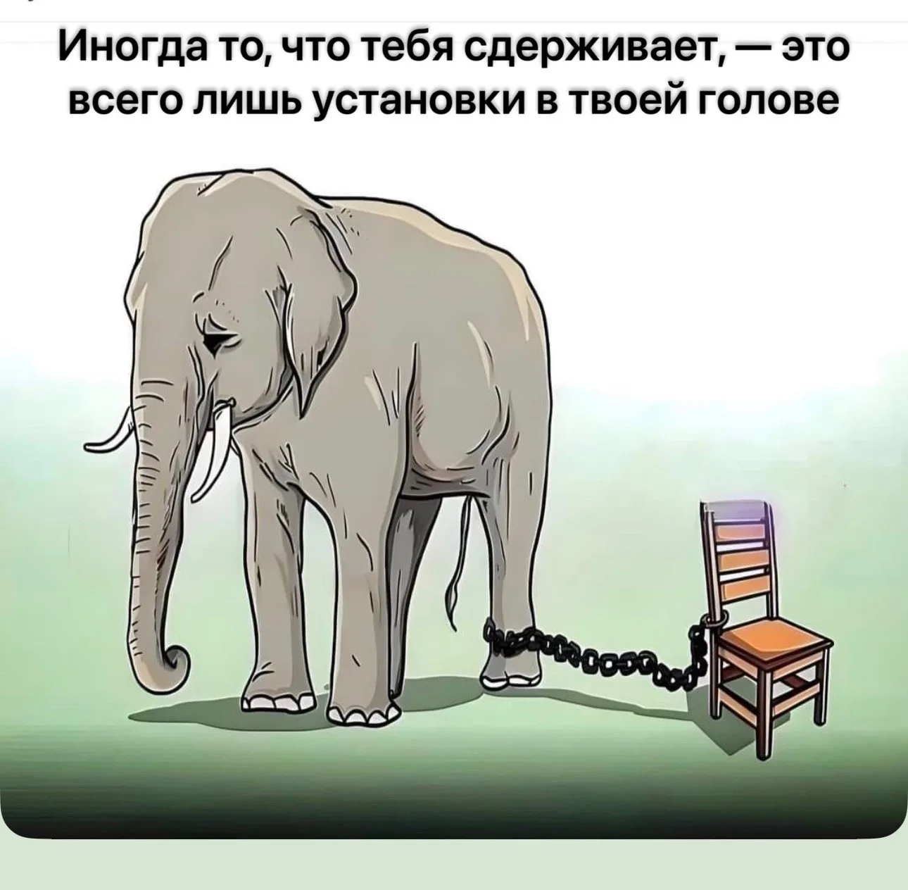 Четверг и наша #размышлятельнаяРубрика — вопросы, которые редко себе задаем.