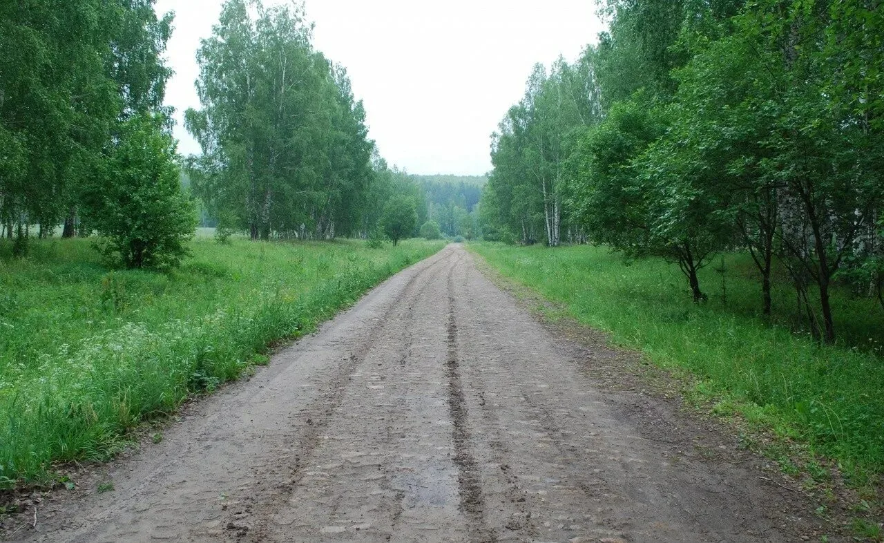 🛣 Загадки истории. Одно из самых мистических мест региона – Екатерининский тракт (по л...