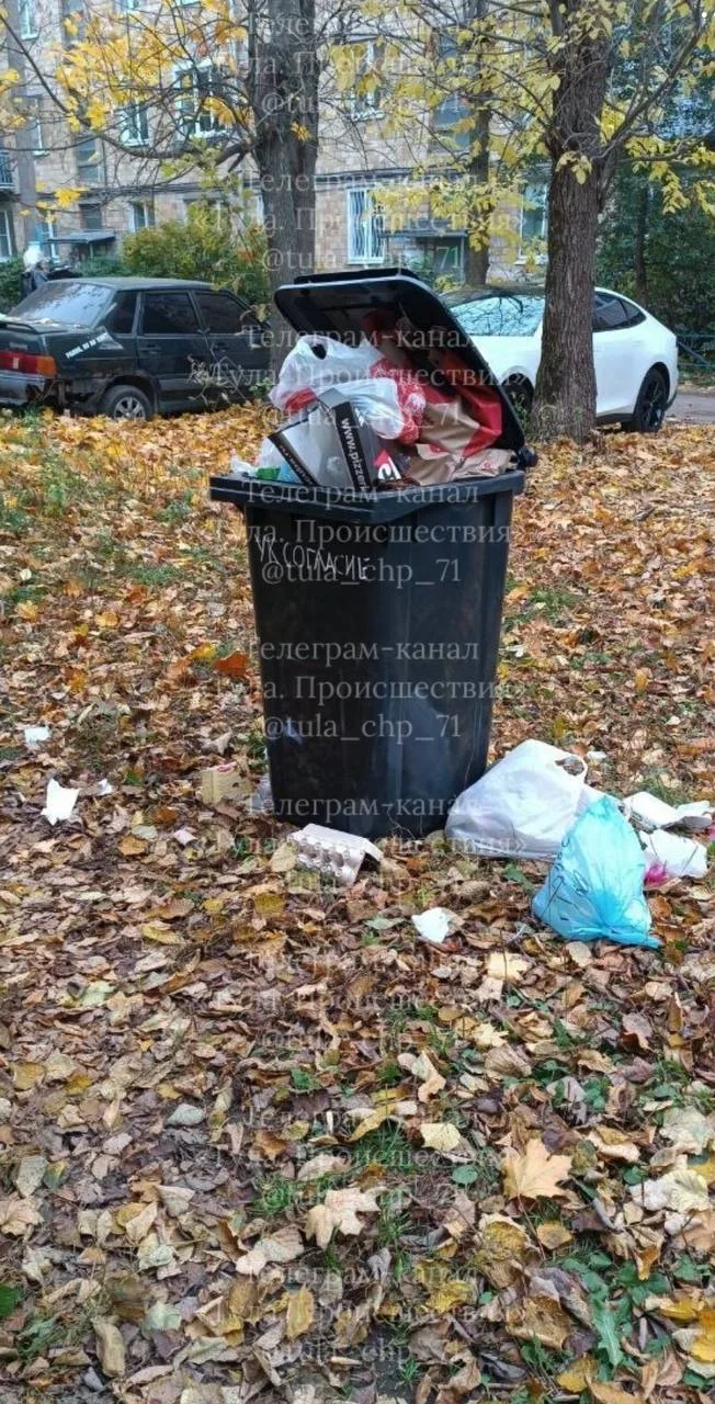 УК Согласие разместила баки у каждого подъезда, две недели мусор не вывозиться, птицы р...