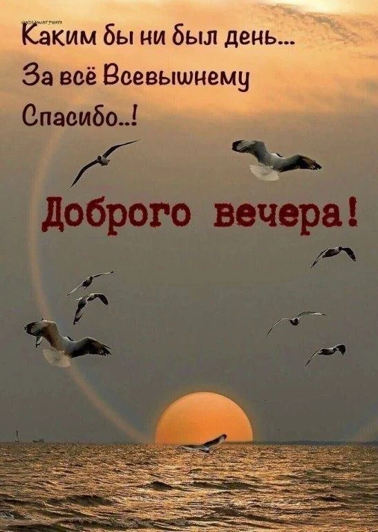 Юмор и открытки на каждый день