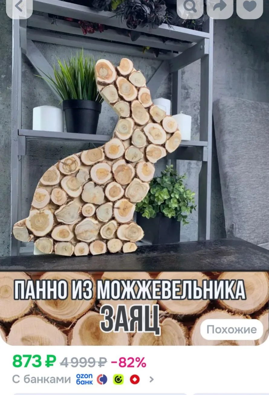 https://ozon.ru/t/wEyBMfd