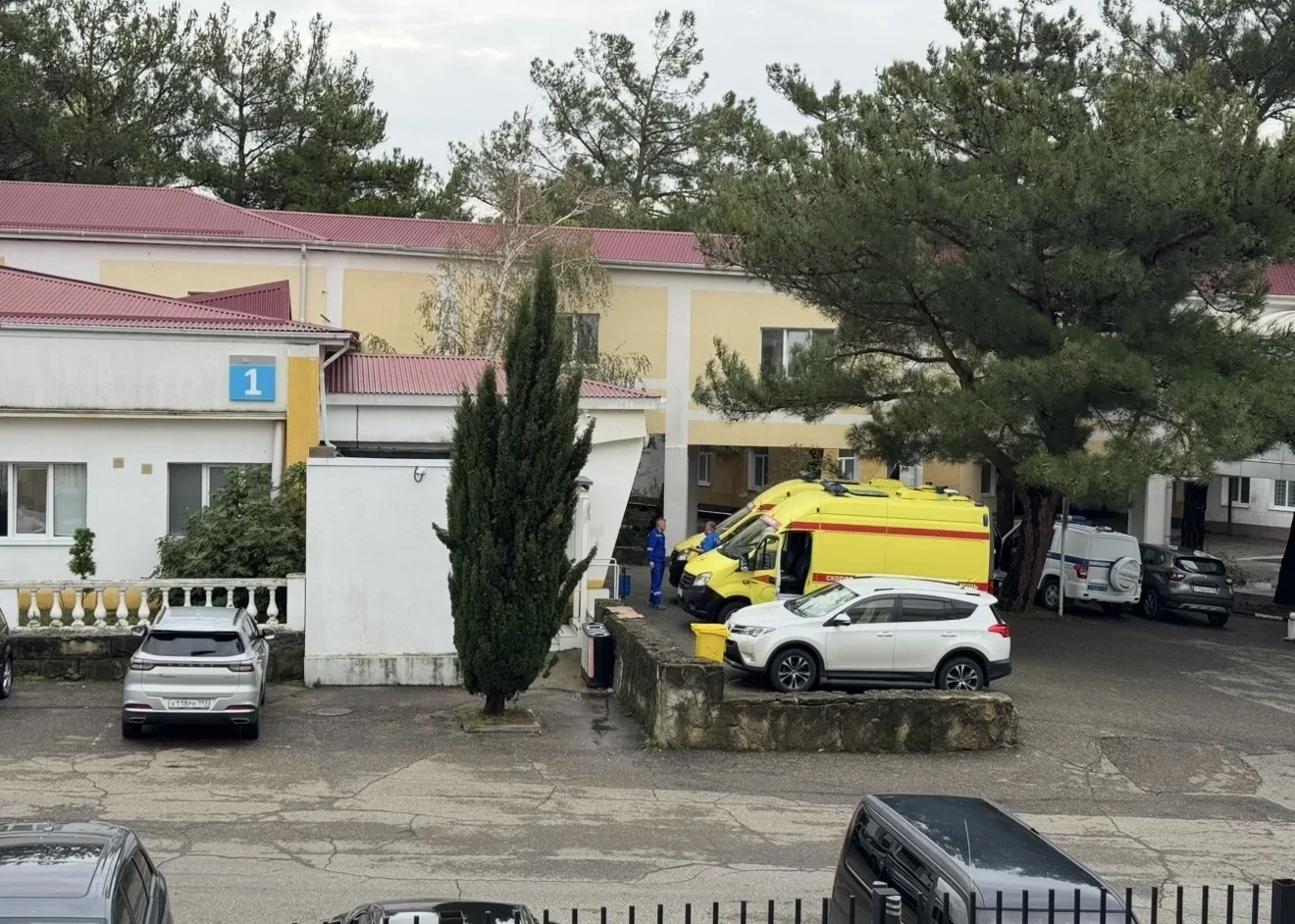 От бледной поганки едва не умерла