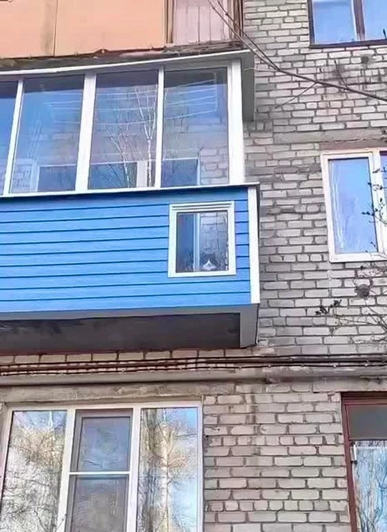 В Можайском районе один из жителей позаботился о досуге своего пушистого питомца, обуст...