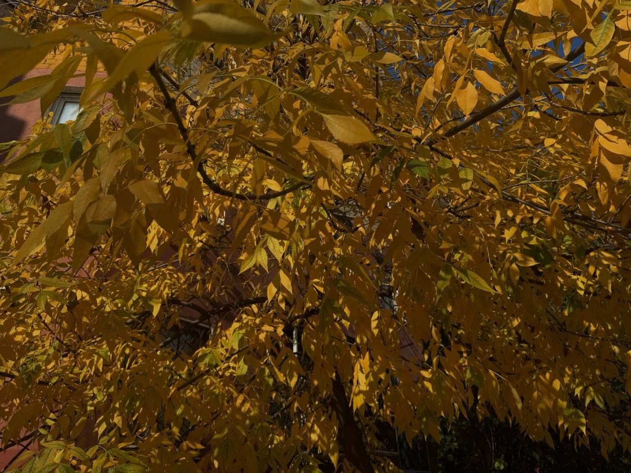 С добрым утром! 🍁