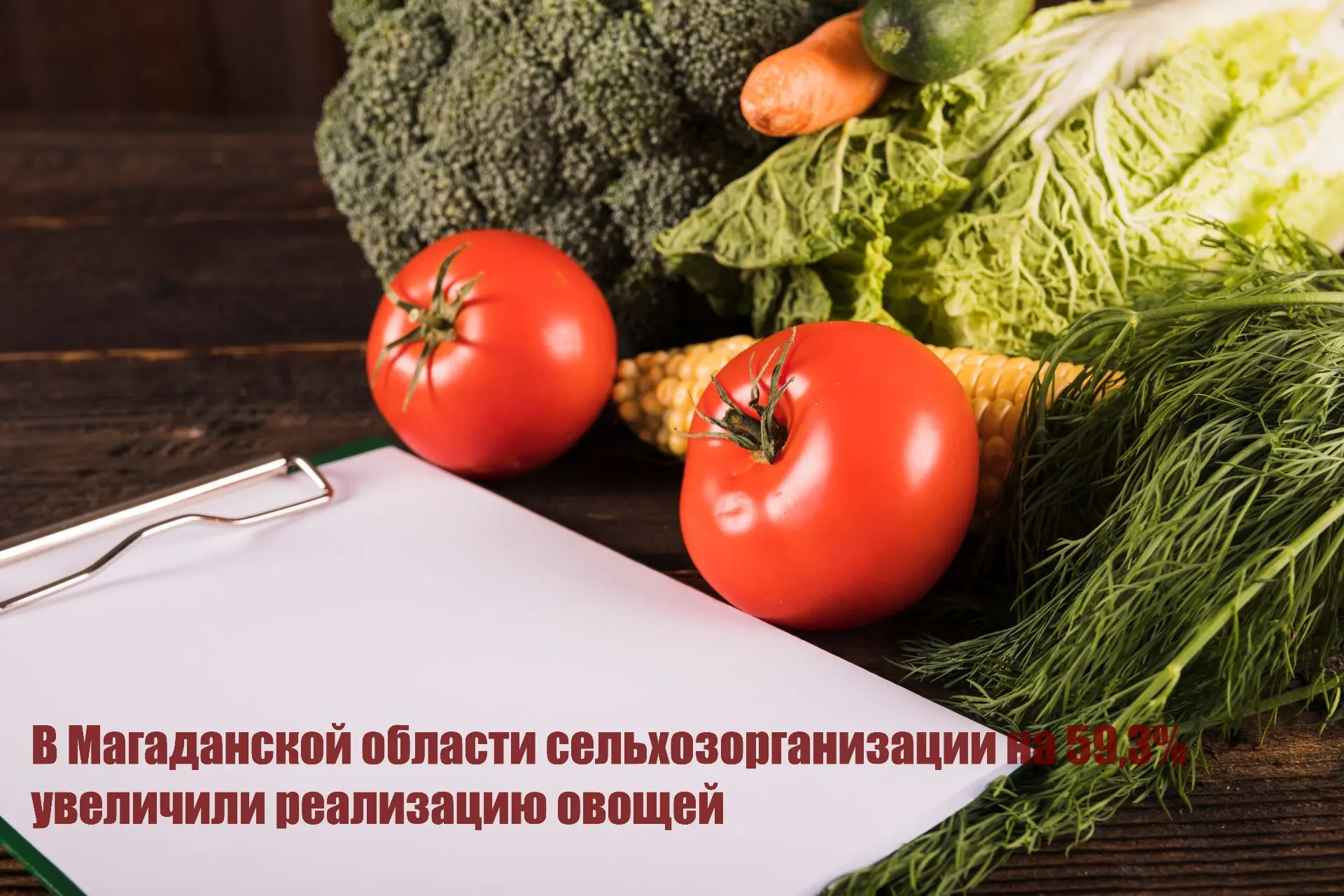 В Магаданской области сельхозорганизации на 59,3% увеличили реализацию овощей