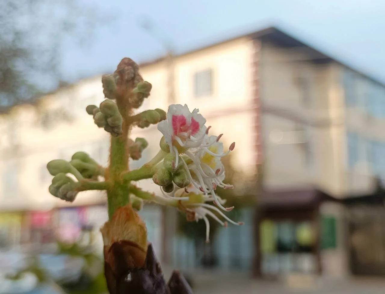 Осенний сюрприз от природы 🌸🍂