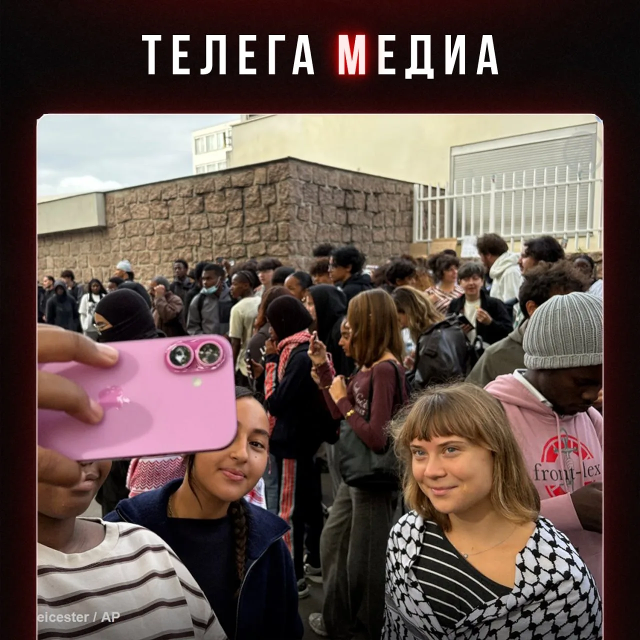 На протестах школоты во Франции заметили Грету Тунберг. Ну все, режим Макрона в панике ...