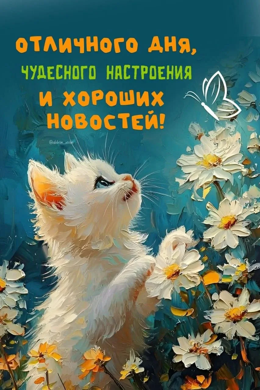 🙏Оставляйте реакции, если понравилась открытка и делитесь с близкими ❤️