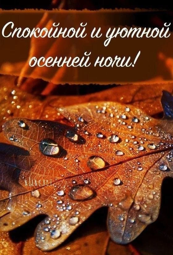 Спокойной и благословенной ночи тебе! Пусть заботы и тревоги ушедшего дня не тревожат д...