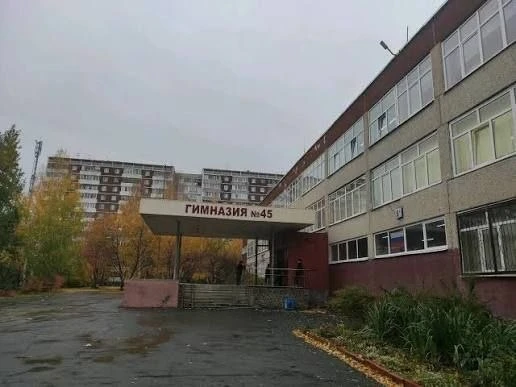 🔴Назвали клеветой обвинения матери пятиклассника в гимназии № 45.