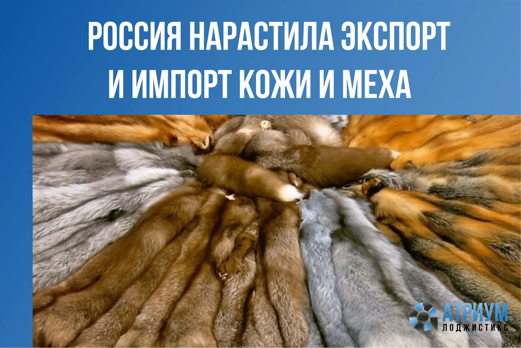 За 7 месяцев 2026 года экспорт кожевенного сырья и пушнины вырос на 59,1%, импорт — на ...