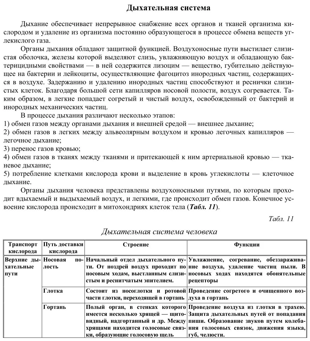 Дыхательная система
