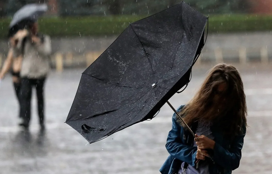 ⛈ На Волгоградскую область надвигается шторм: МЧС объявило экстренное предупреждение!
