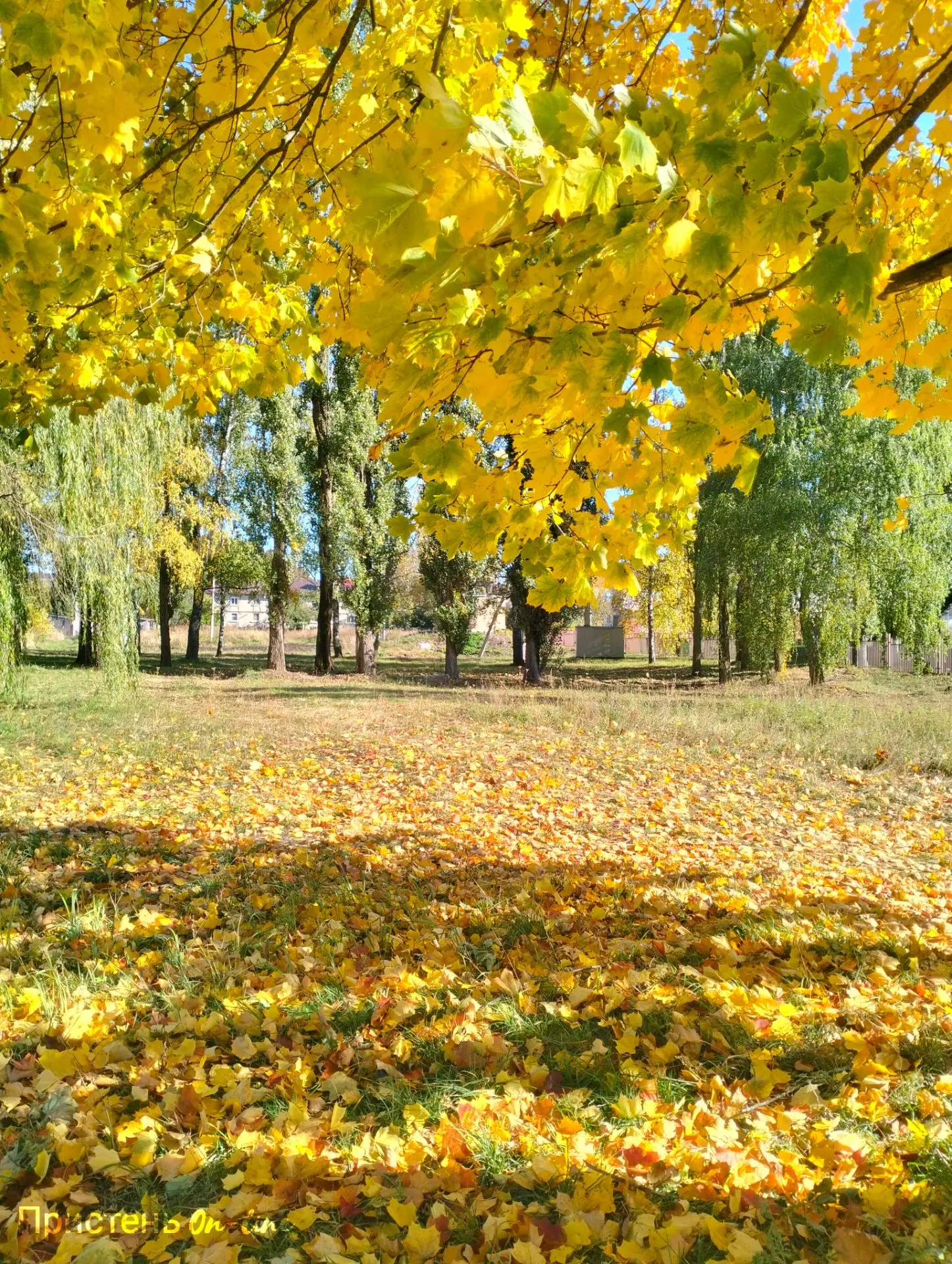 Доброе утро! 🍁