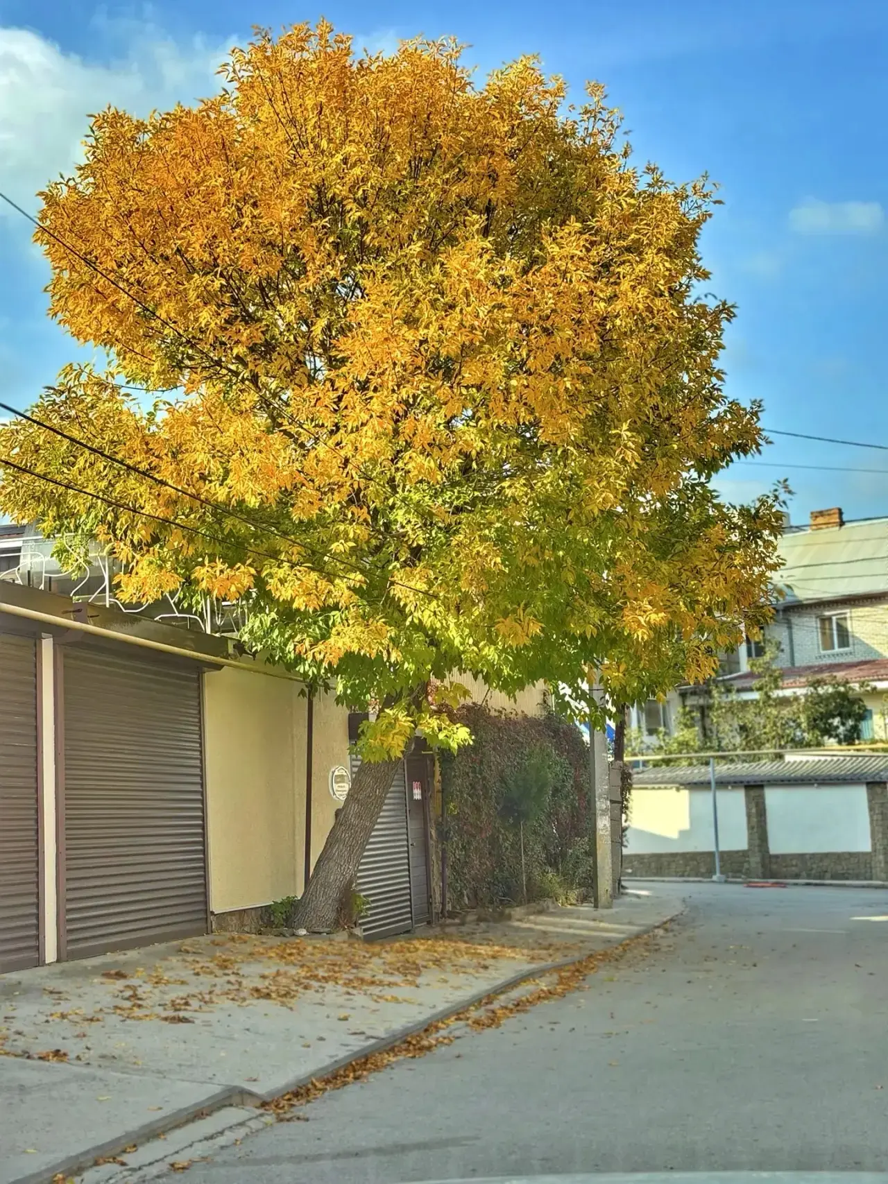 Ну вот и как не любить осень, когда вокруг такая красота? 🍁🍂🧡
