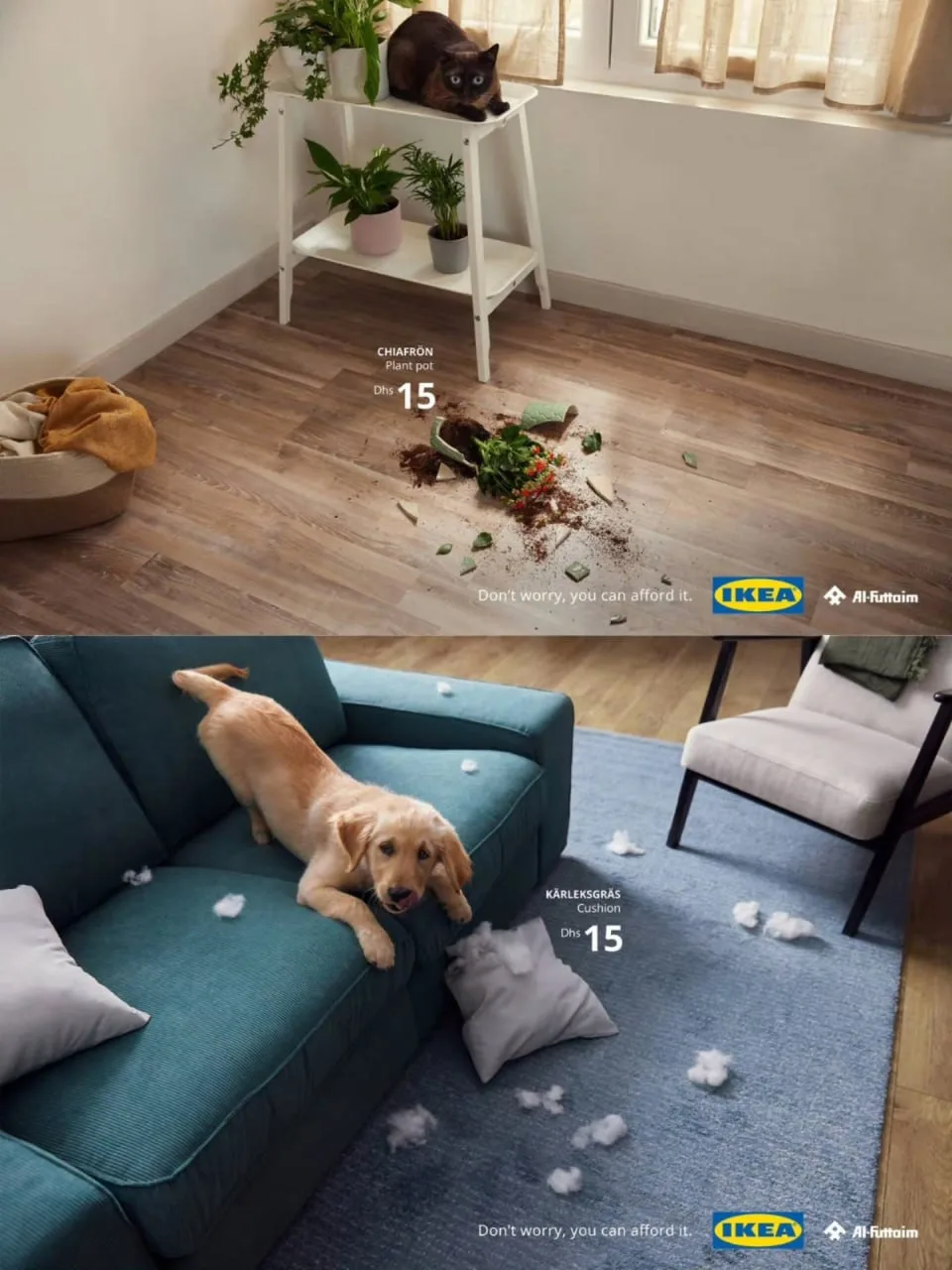IKEA запустила рекламную кампанию с фотографиями четвероногих хулиганов под названием «...