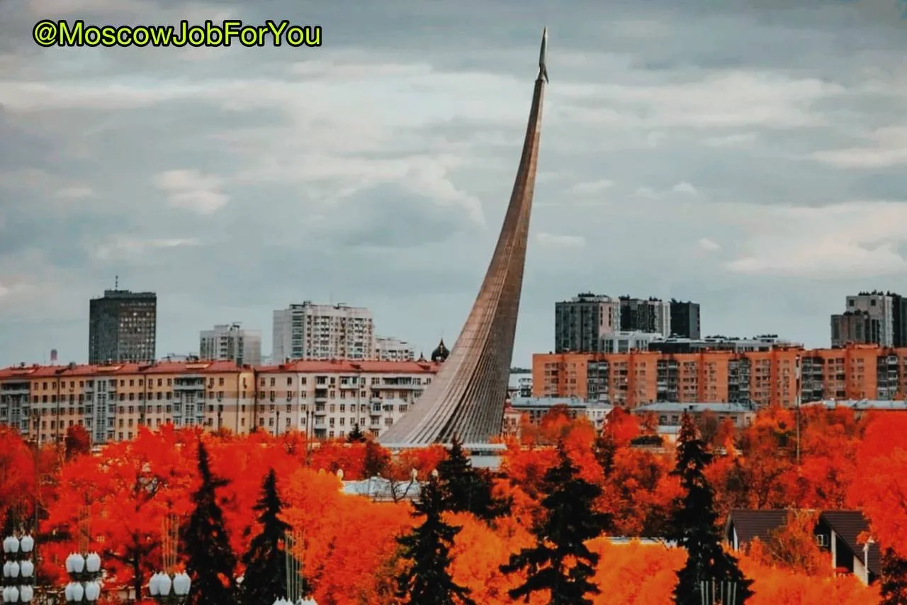 #Оператор контактного центра в ветеринарную клинику (около 100 000 ₽)