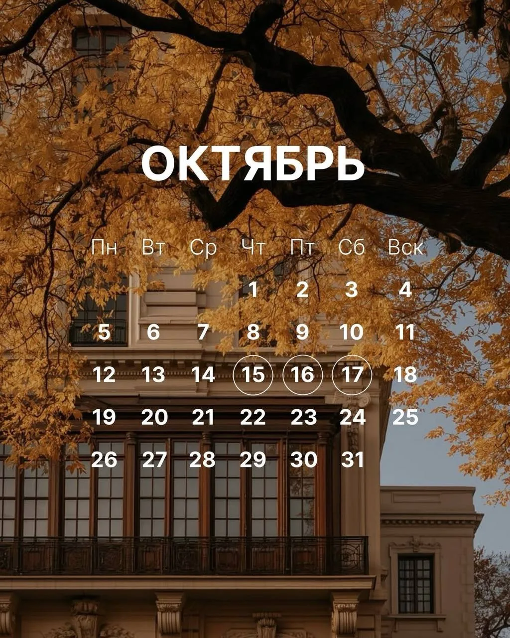 1️⃣ Дегустация вин хозяйства KATHARON - молодого хозяйства Краснодарского края, история...