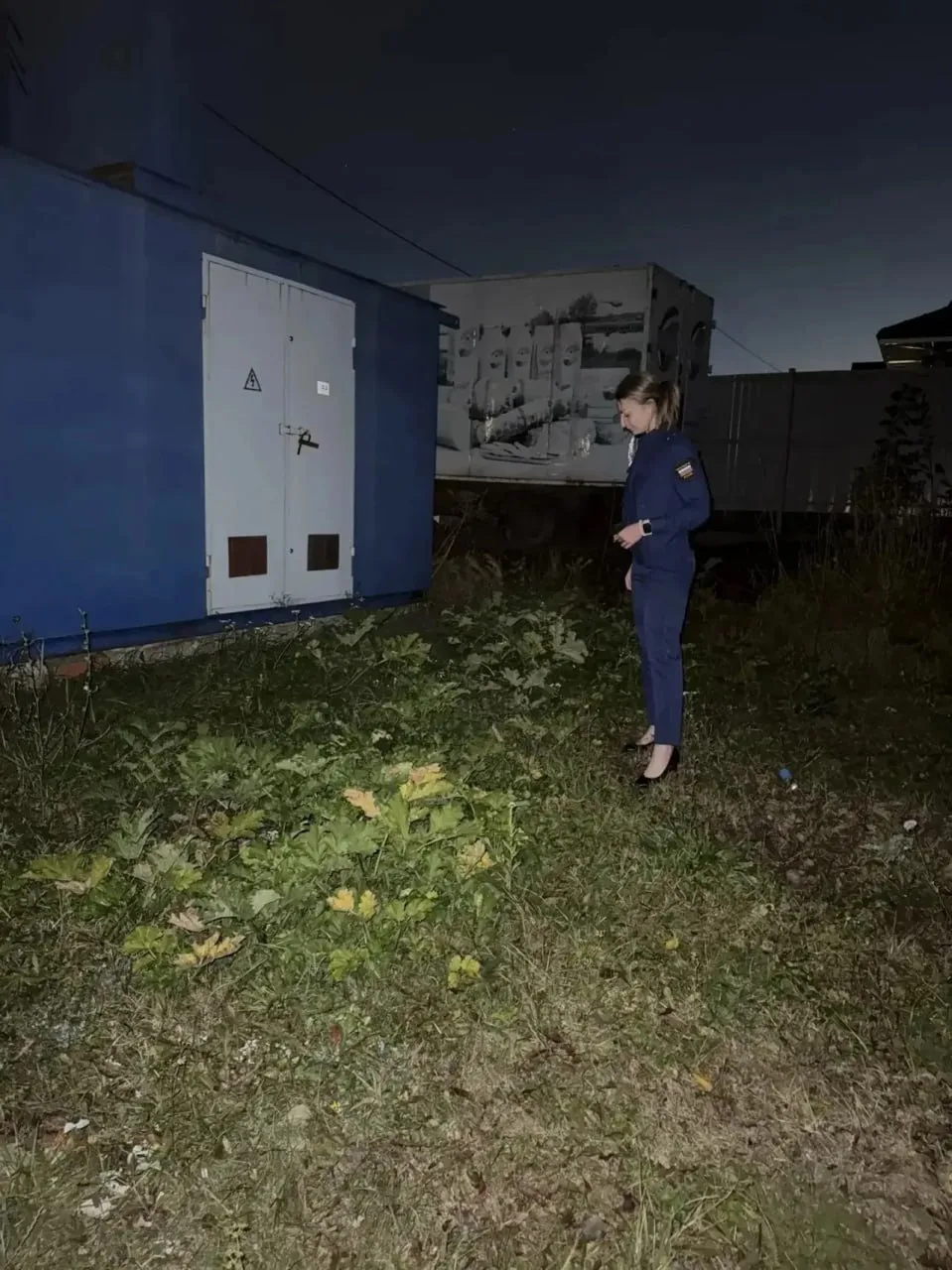 В Курске нашли нескошенный борщевик