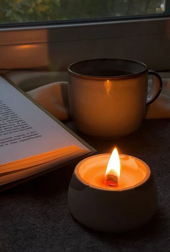 🌙 Дорогие мои, доброго вечера! 💚
