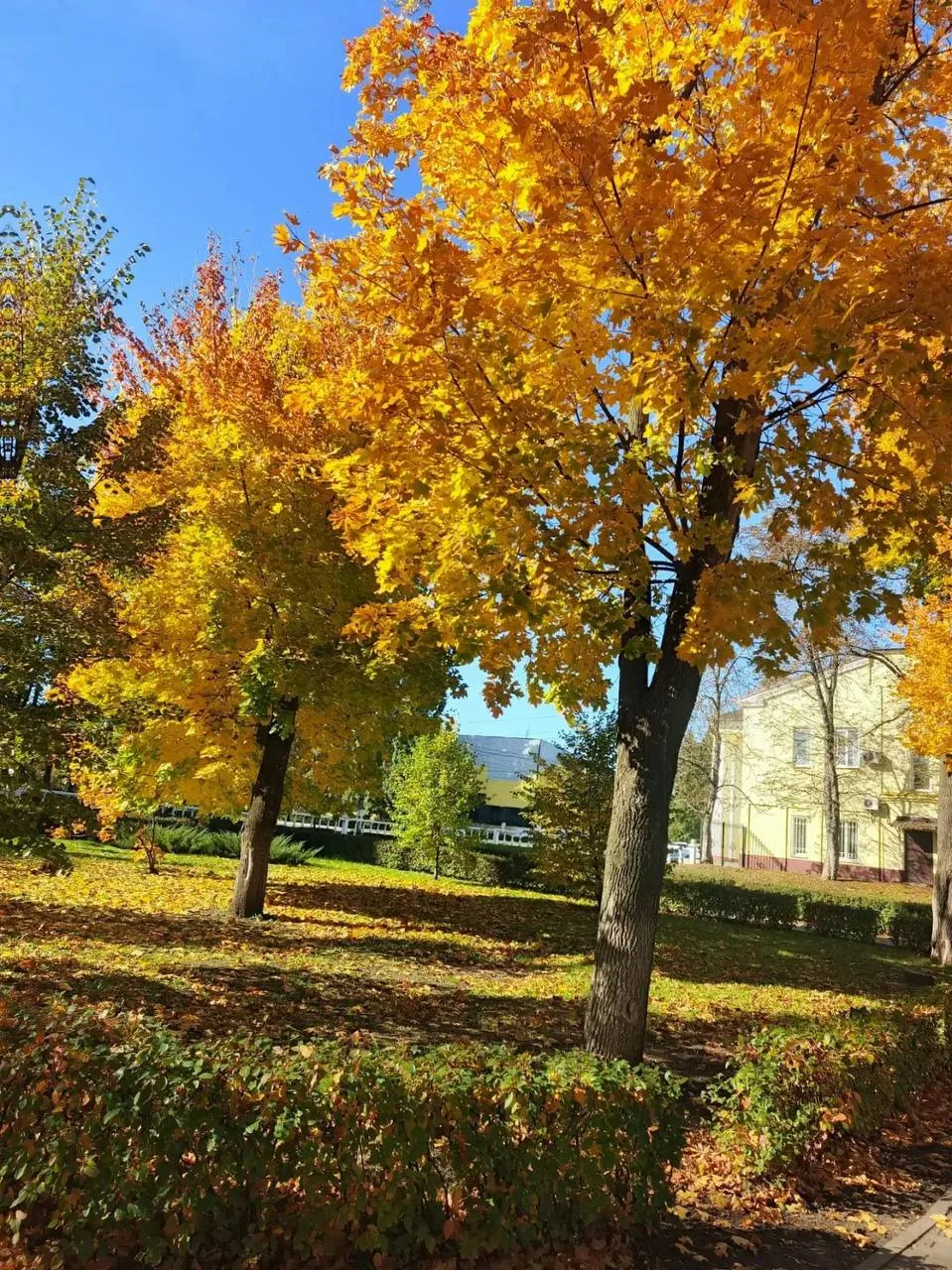 📷 🔥 Ваши фото из предложки