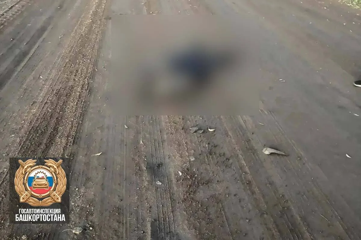 В Кармаскалинском районе Башкирии водитель насмерть сбил пешехода и скрылся