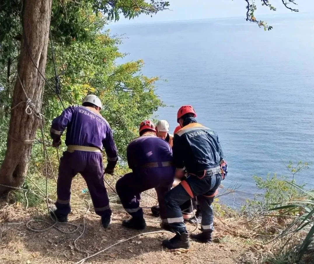 📌Мужчина повис над пропастью, зацепившись за кусты в Сочи.