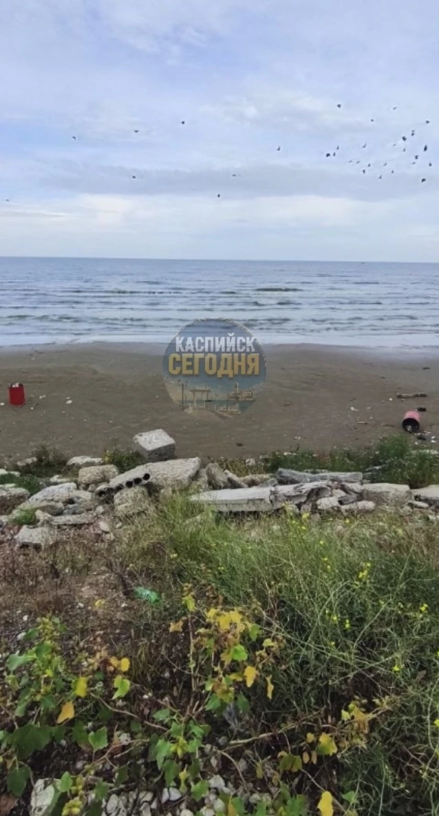 #нампишут