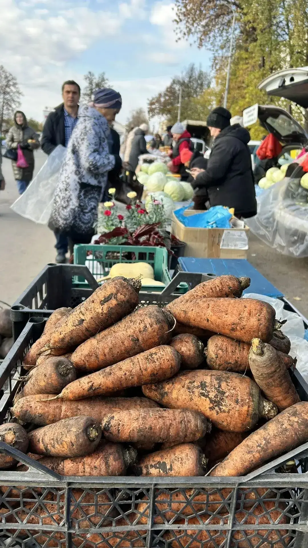 Друзья, хорошего субботнего дня всем!