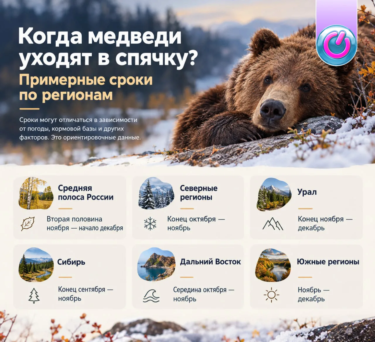 Для многих сейчас есть тема поважнее зажировки манула — хотя за Тимофея мы болеем всей ...
