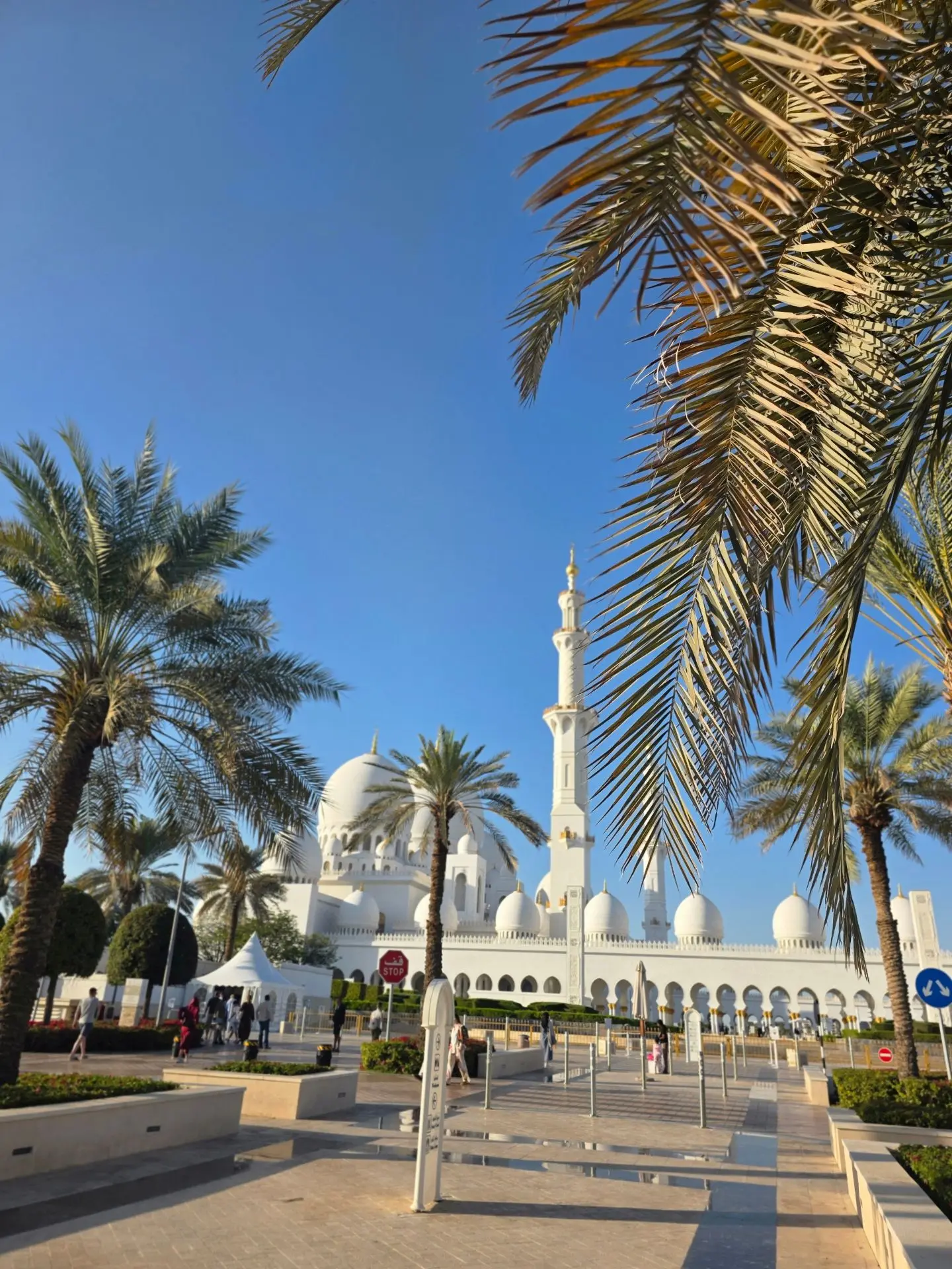 🇦🇪Абу-Даби -