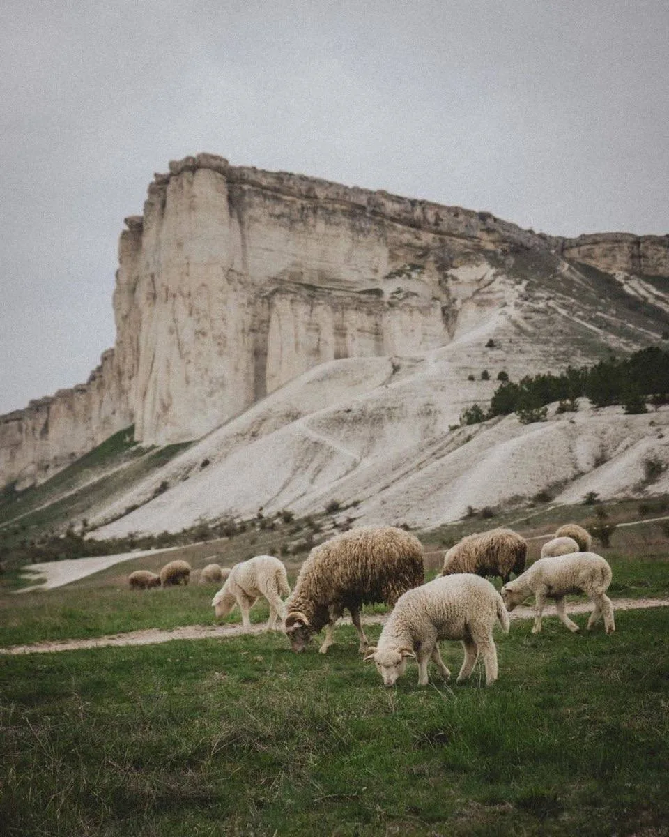 Белая скала и барашки - ещё одно идеальное сочетание 🐑