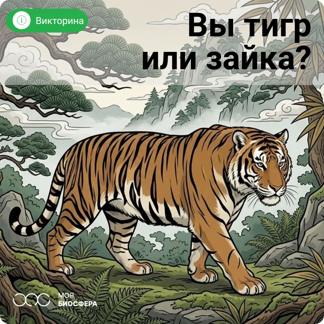 🙄 О чём умалчивает восточный календарь