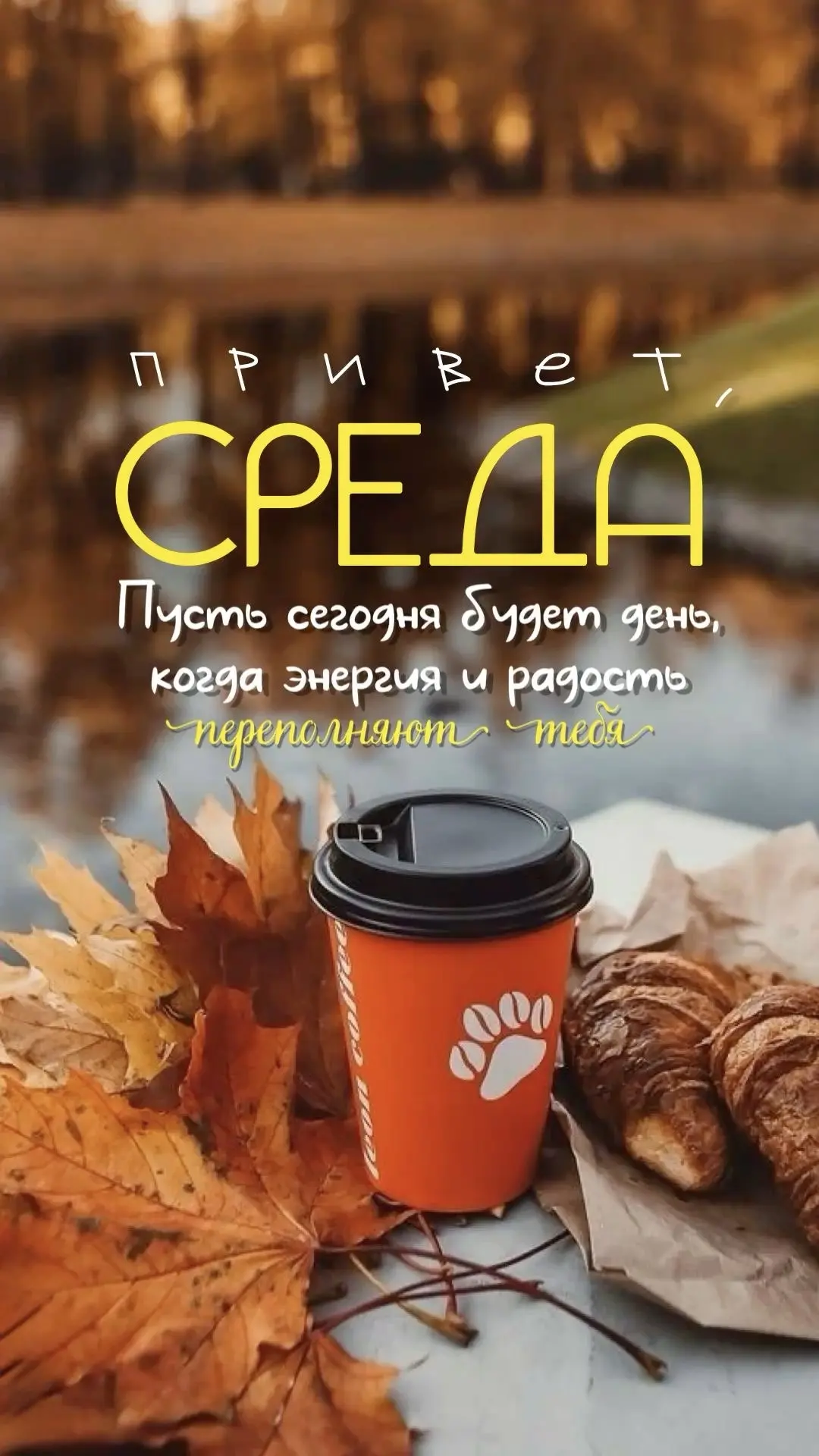 #Среда 🧡